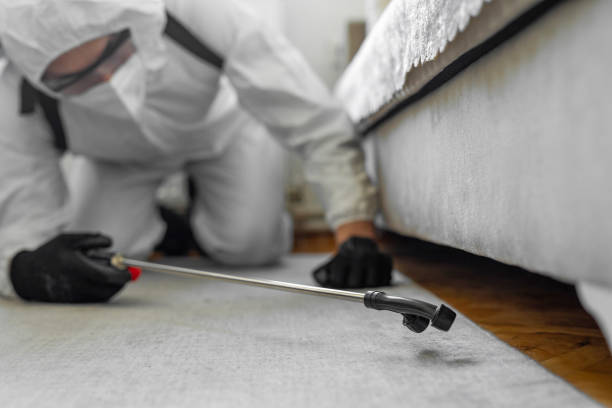 Professional Fumigation Services technician working in Olivarez, TX