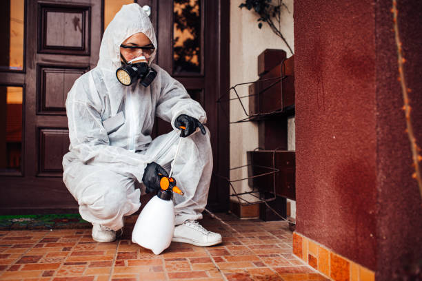 Reliable Fumigation Services contractor in Olivarez, TX by Nex Pest Control